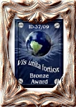 Bronze Award vom "Vis unita fortior" Team