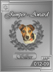 Jumper-Award in Silber