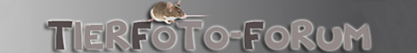 Tier Foto Forum